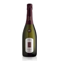 Vinhedo de jardim Valdobbiadene Dry Prosecco Superiore DOCG