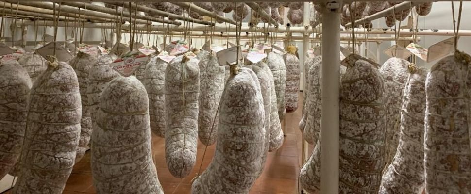 Salumificio Freoni Danzi: scopri i prodotti