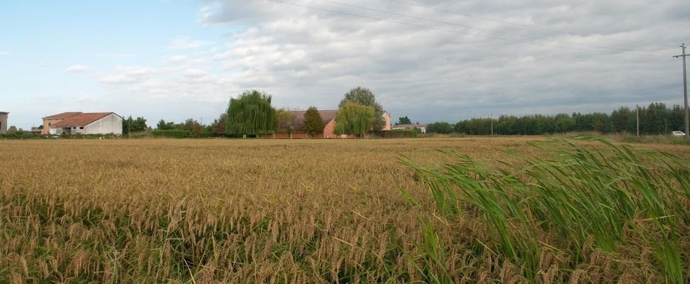 Terre del Bosco: scopri i prodotti